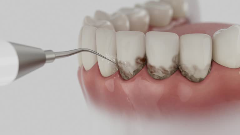 Reliable Dental contractor in Seabrook Island, SC by Dentist Open Now